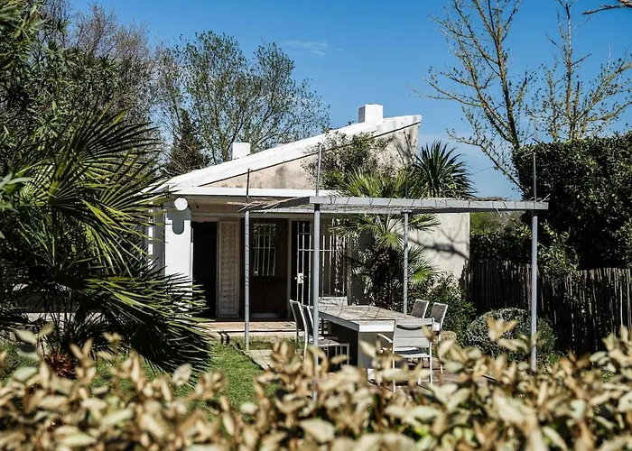 Un Cabanon En Camargue