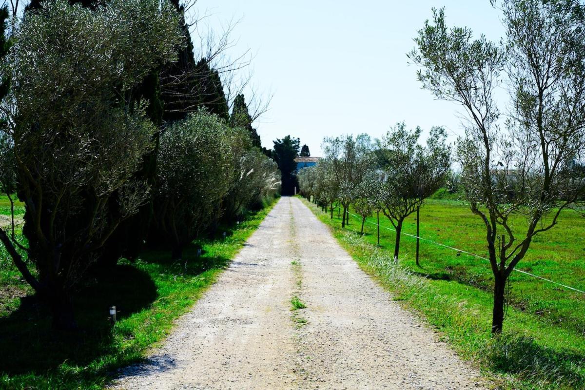 Un Cabanon En Camargue
